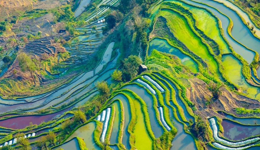 为什么TA的广告总能刷屏？中江县广告片拍摄公司深度解码创作公式
